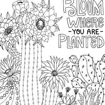 Bloom where you are planted