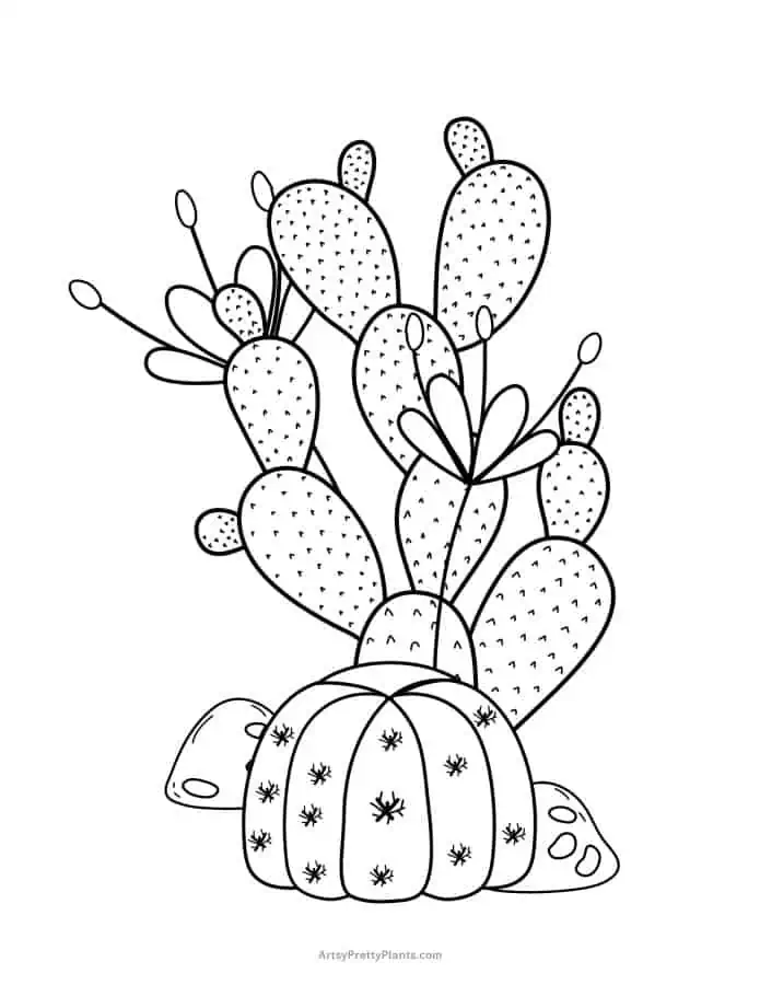 Free cactus coloring pages printable pdfs