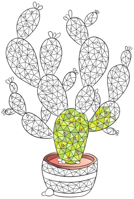 Best succulent cactus coloring books pages