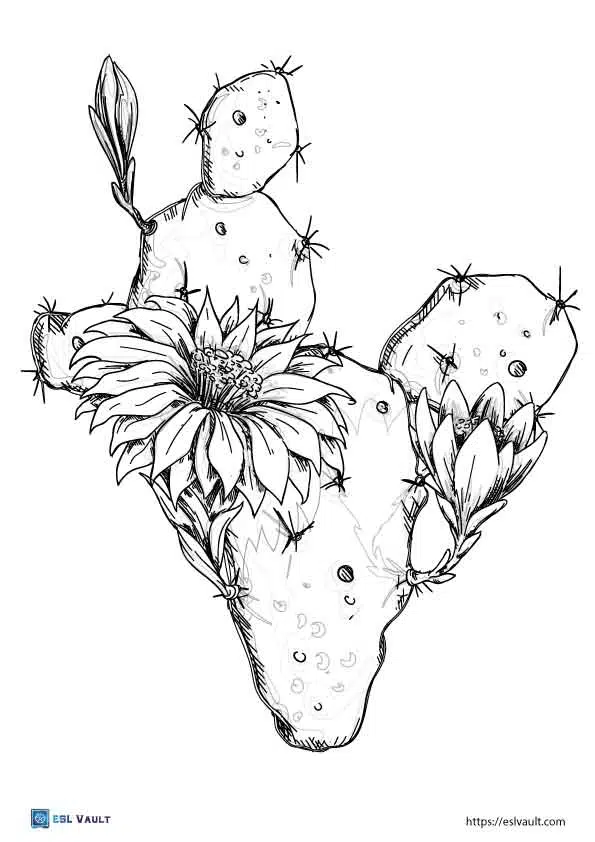 Free cactus coloring pages