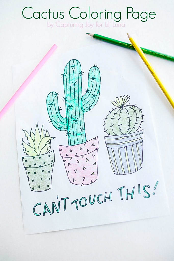 Cactus coloring page â lets diy it all â with kritsyn merkley