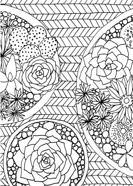 Best succulent cactus coloring books pages