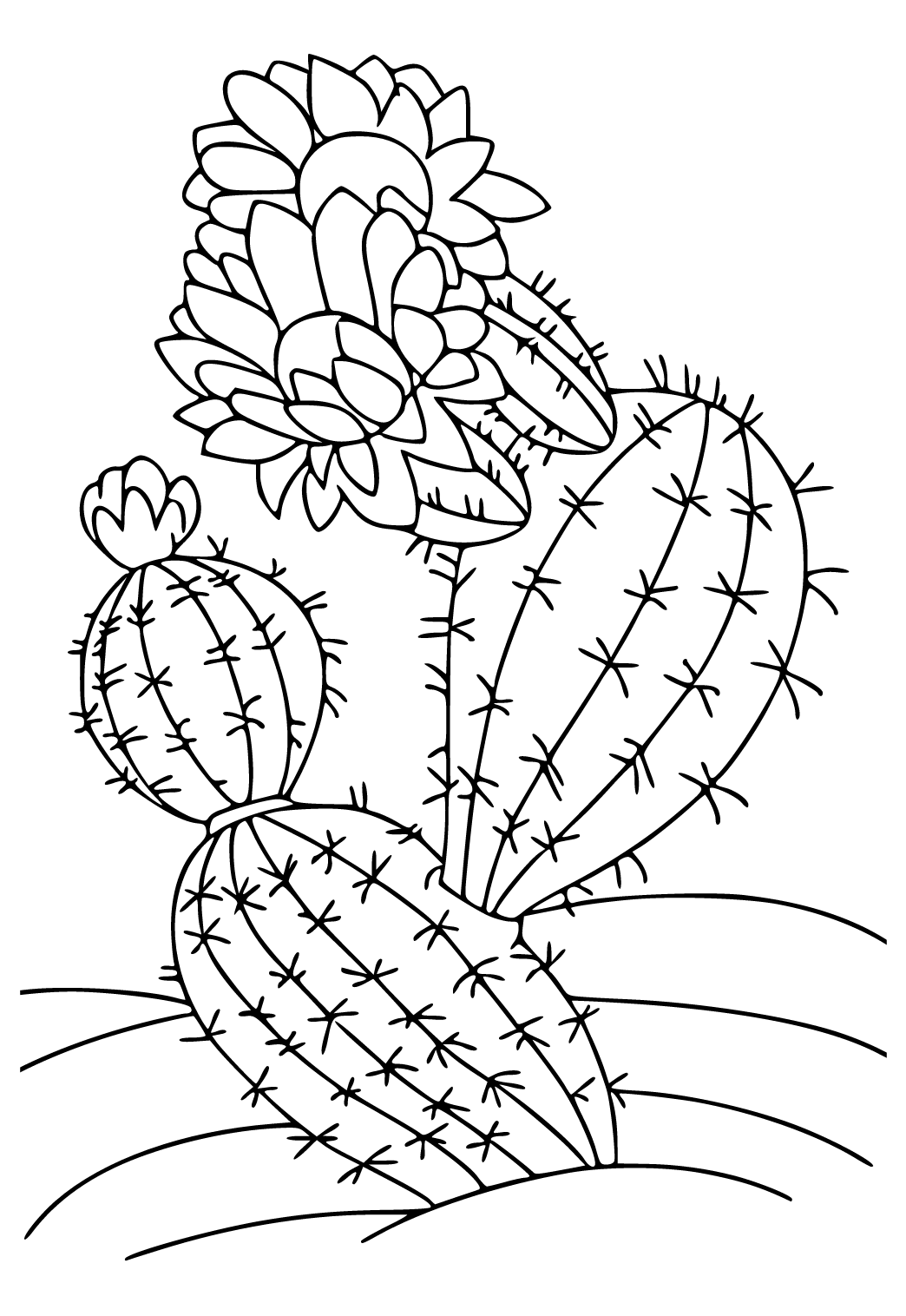 Free printable cactus flower coloring page for adults and kids