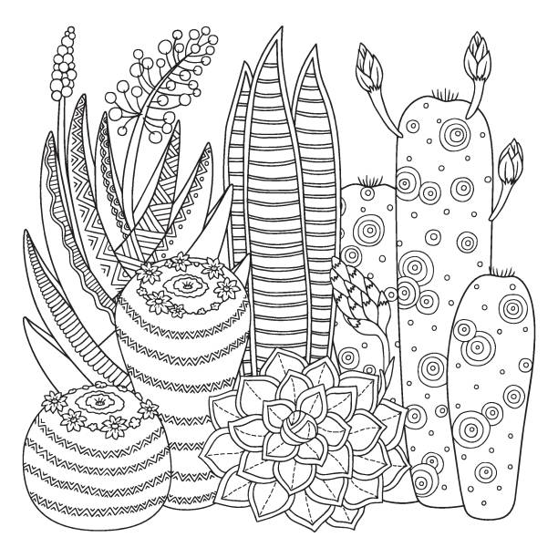 Vector coloring page linear image on white background cute cactus for page for coloring book contour image of cactus scribble for coloring for adults stock illustration