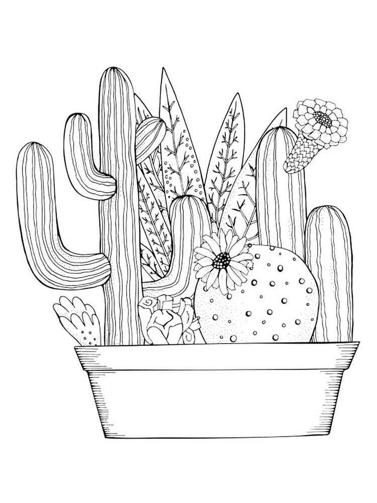 Cactus coloring pages for adults