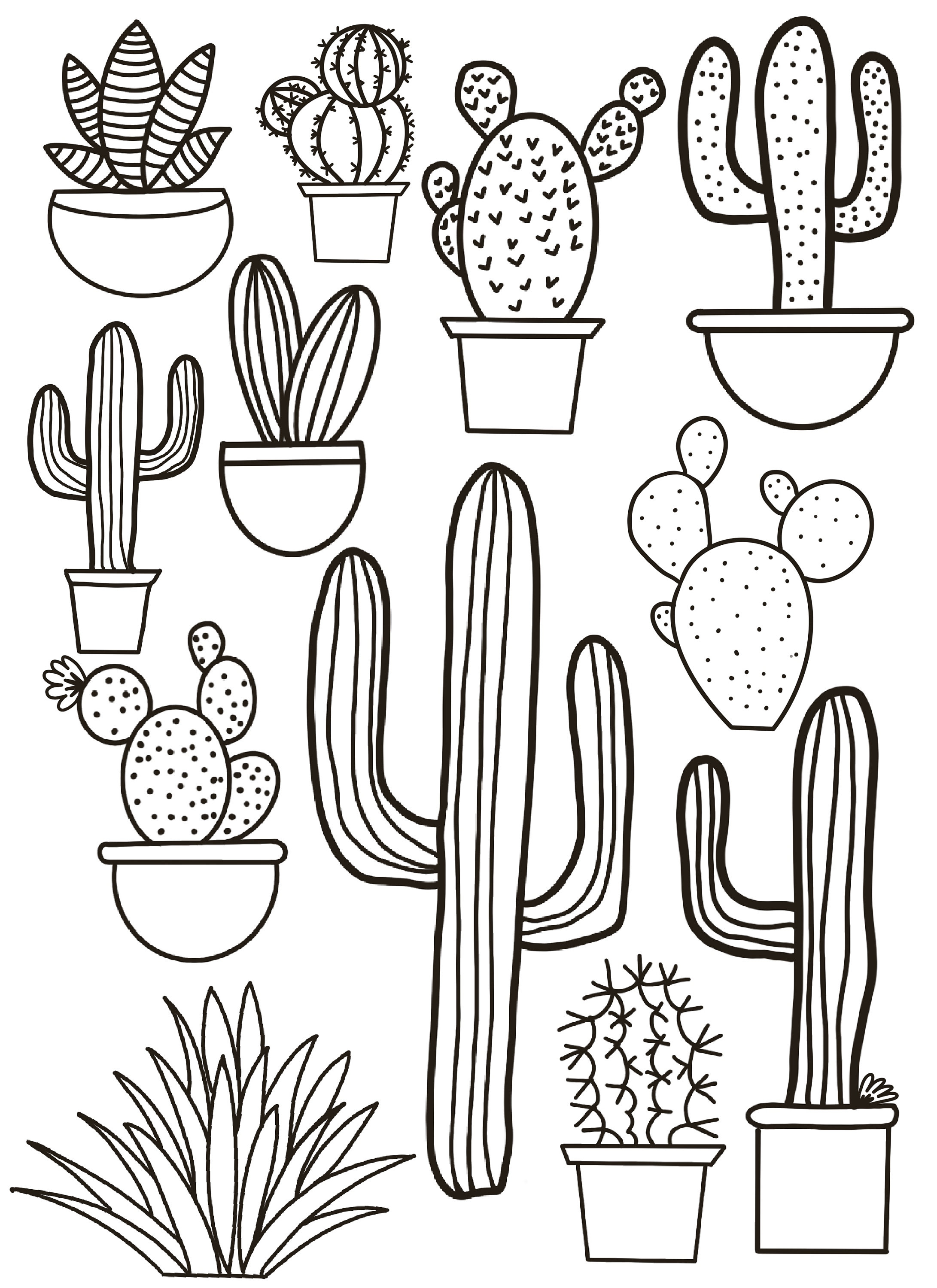 Cactus coloring page