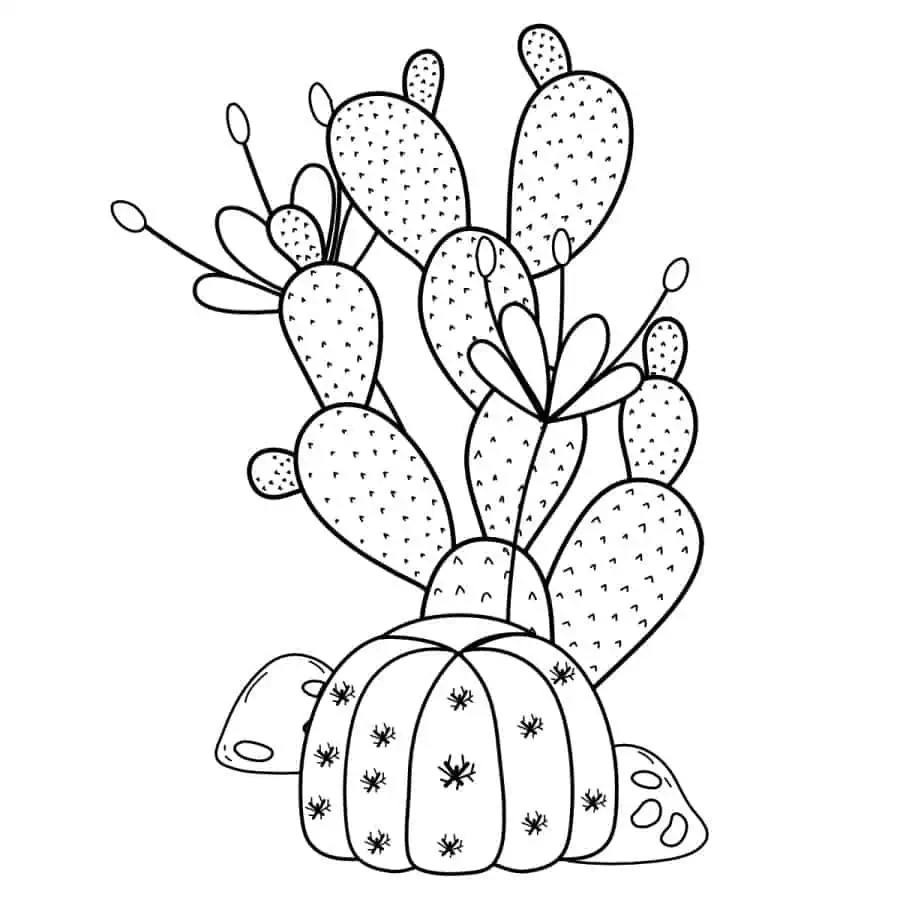 Free cactus coloring pages printable pdfs