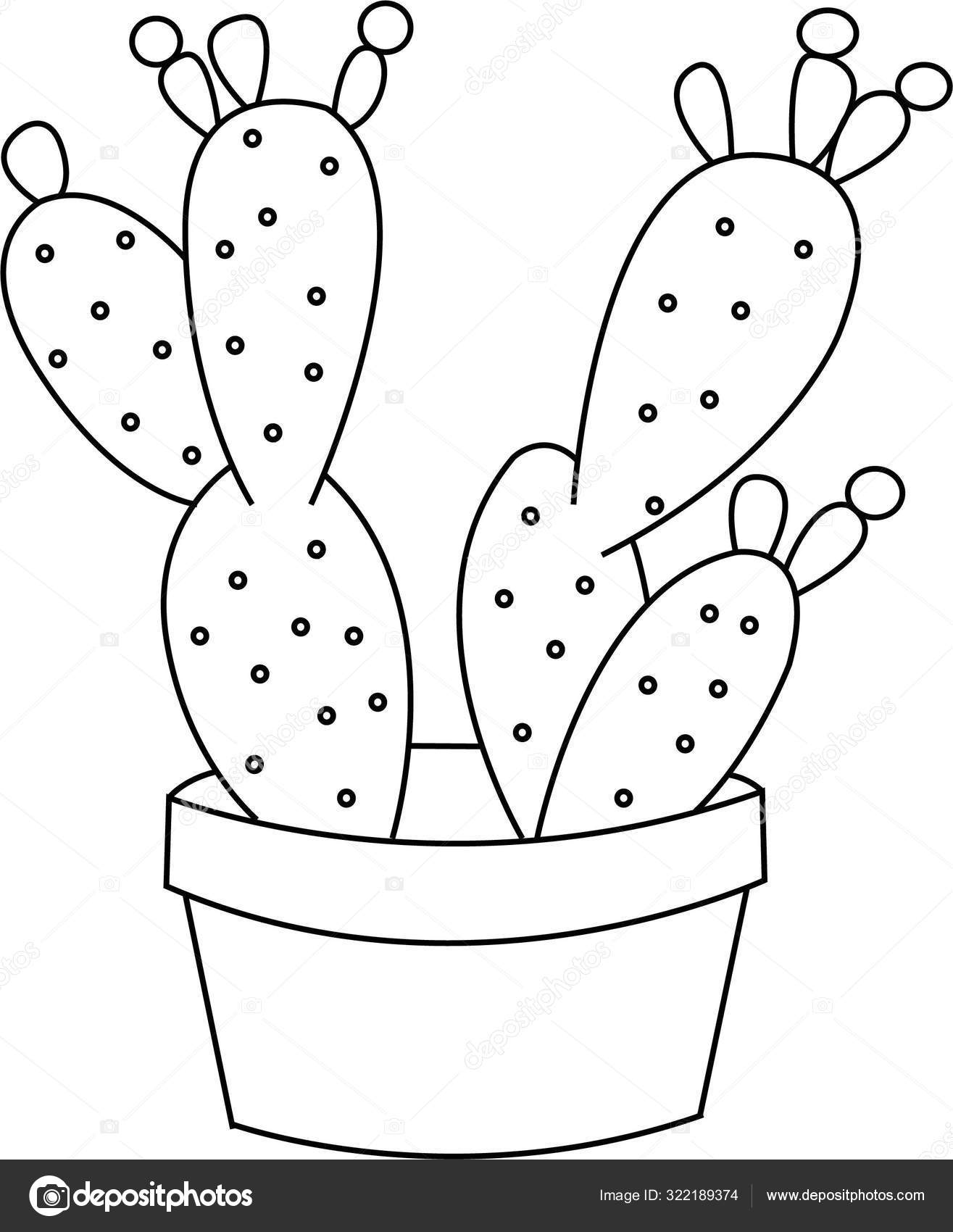 Cactus vector outline isolated sketch stress coloring page tattoo poster stock vector by dysavdysa