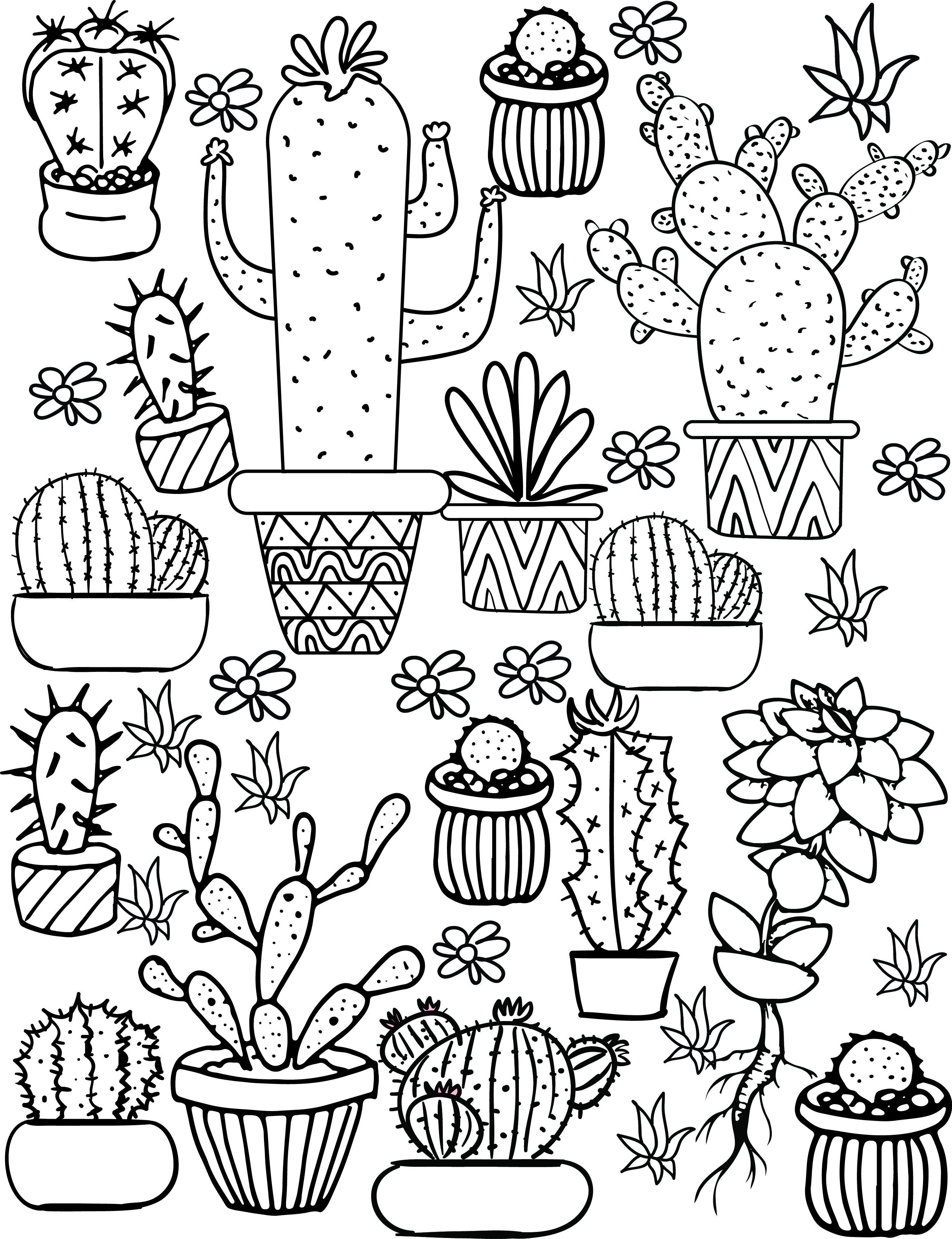 Cactus and succulent printable adult coloring pages