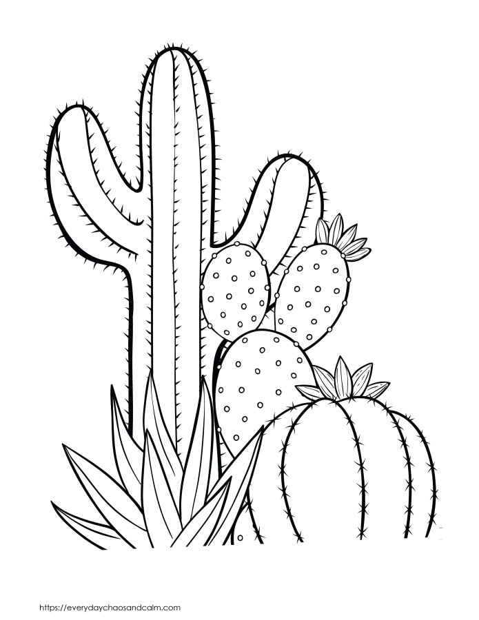 Free cactus coloring pages for kids