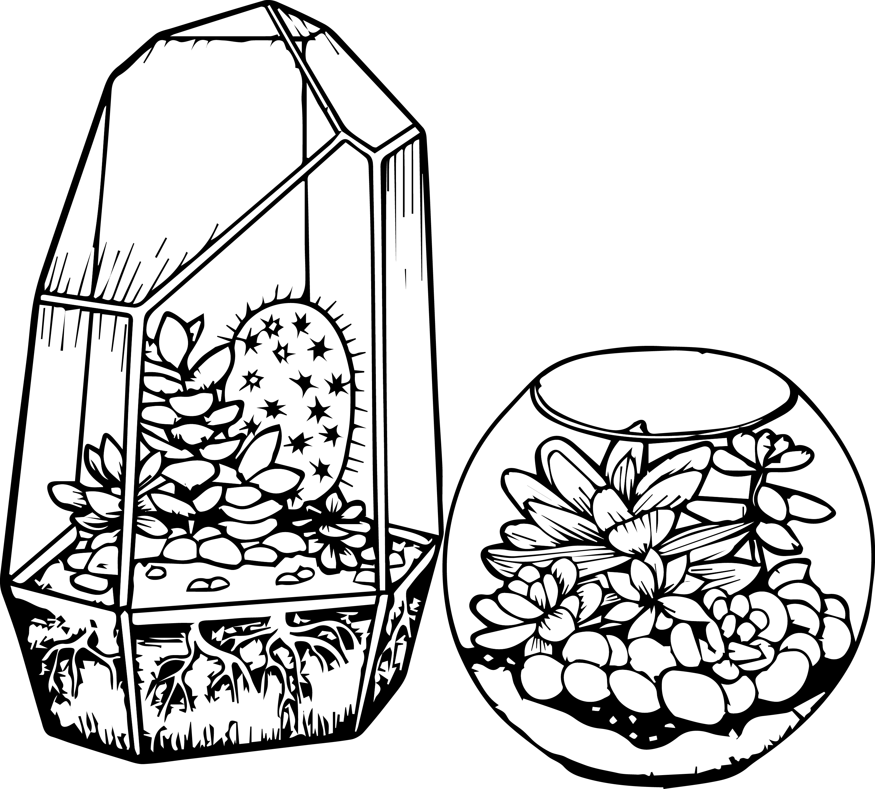 Cactus and succulent printable adult coloring pages