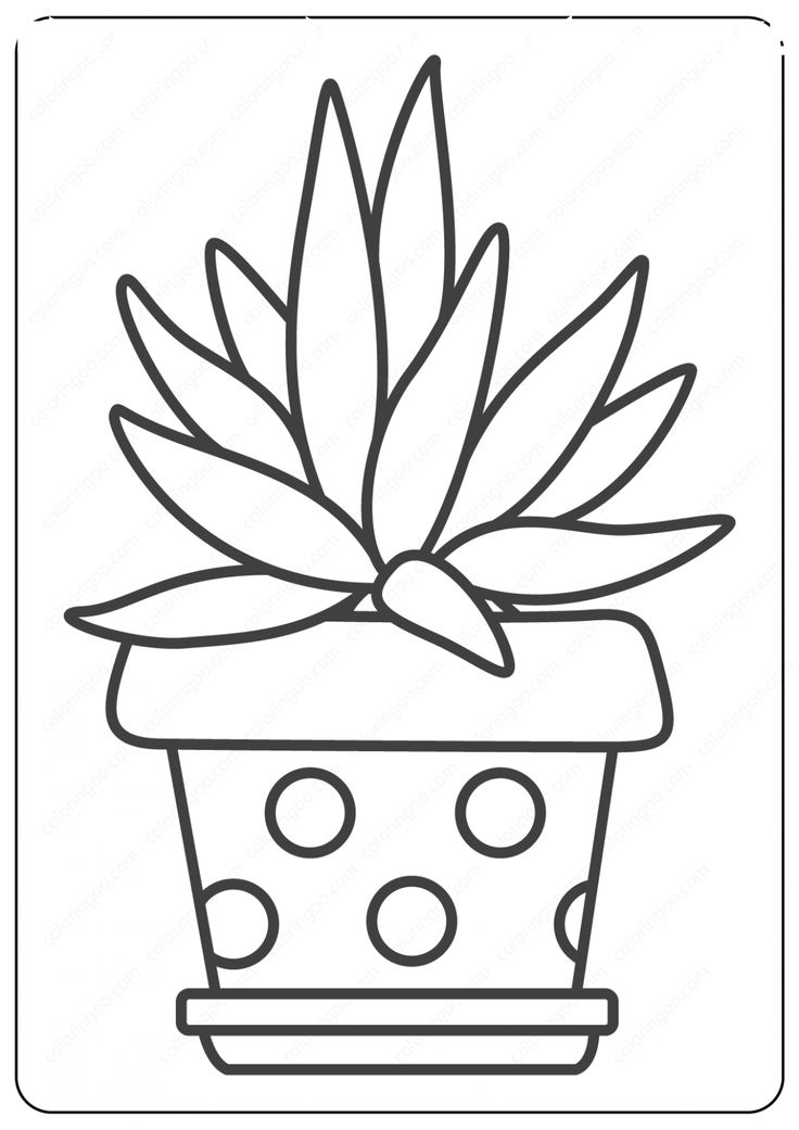 Cute cactus coloring page coloring pages pattern coloring pages cactus printable