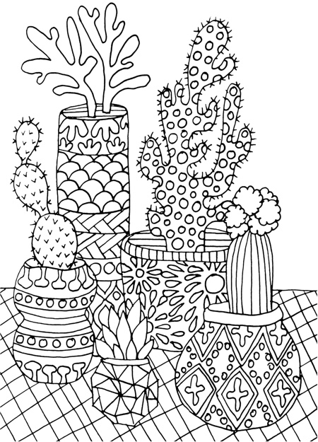 Best succulent cactus coloring books pages