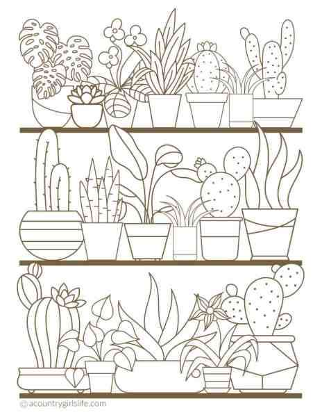 Free printable coloring pages for adults in florals and succulents