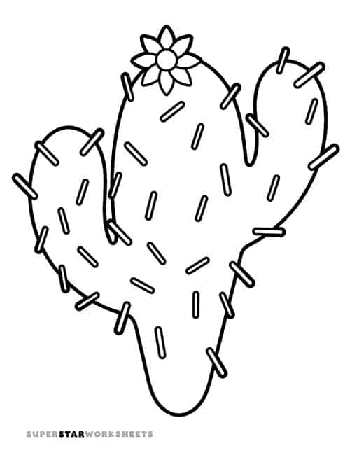 Cactus template