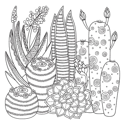 Vector coloring page linear image on white background cute cactus for page for coloring book contour image of cactus scribble for coloring for adults stock illustration