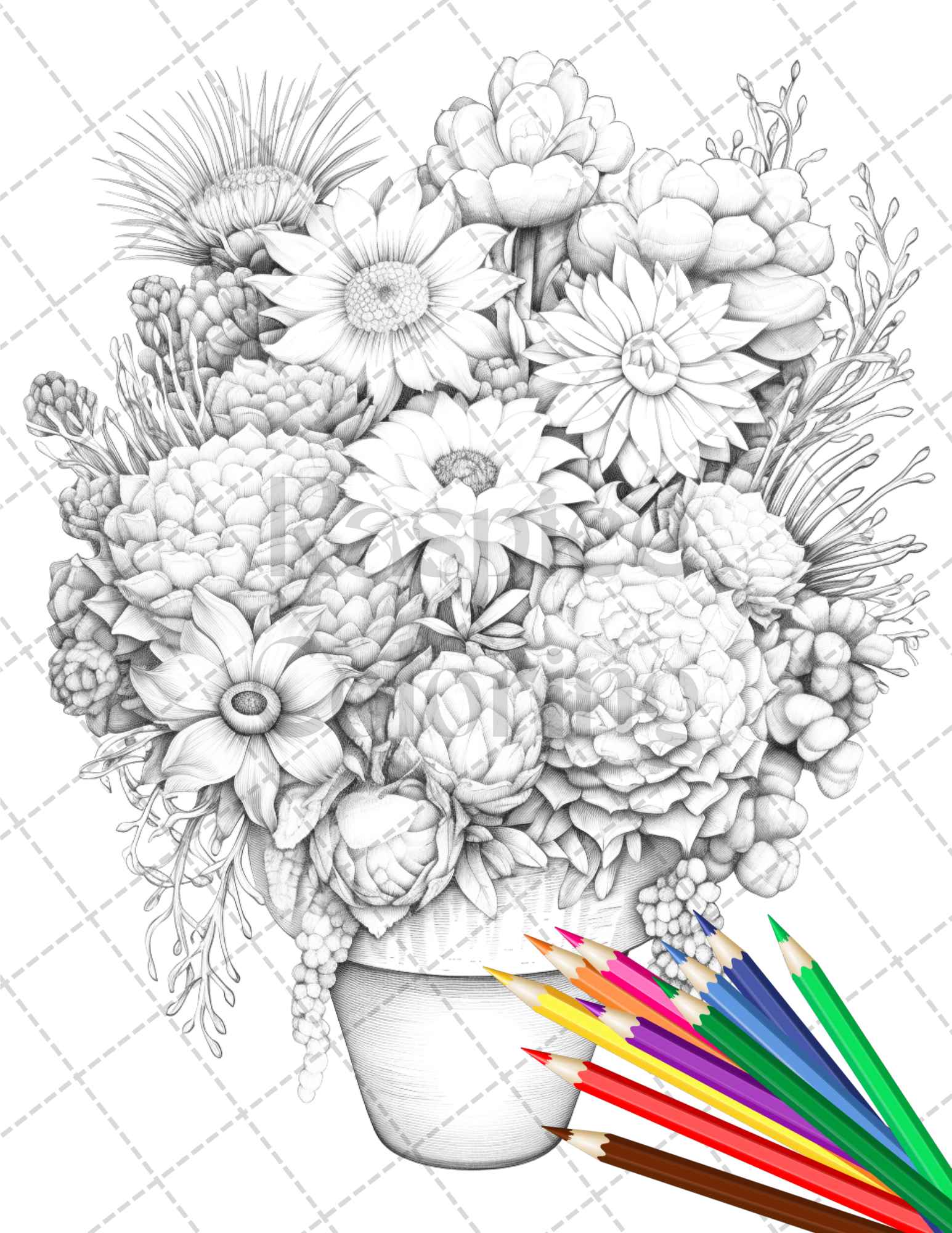 Charming cactus pots grayscale coloring pages printable for adults â coloring