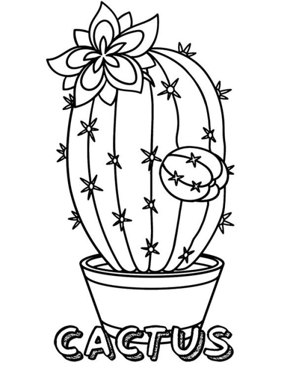 Printable cactus coloring sheet picture coloriage motifs de broderie dessin legumes