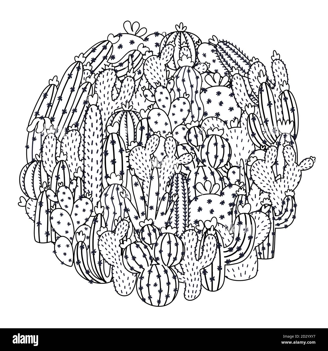 Doodle cactuses circle shape pattern for coloring book black and white succulent print stock vector image art