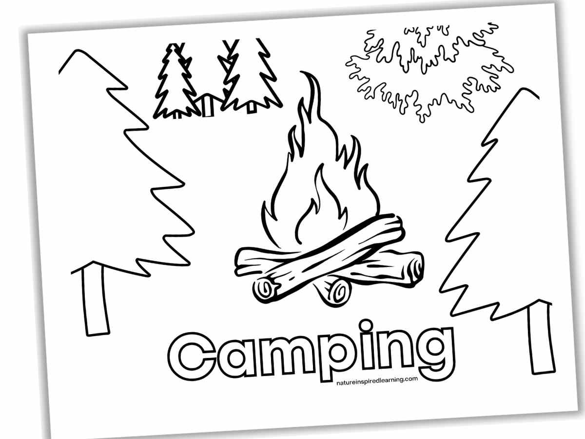 Camping coloring pages new