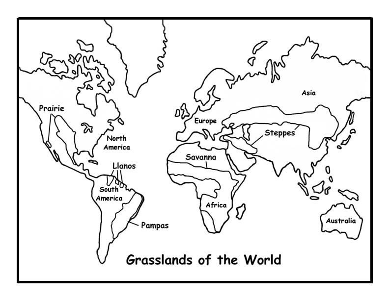 Grasslands of the world coloring page