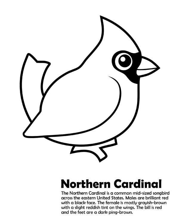 Northern cardinal coloring sheet coloring pages bird coloring pages super coloring pages