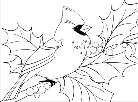 Cardinal coloring page free printable coloring pages