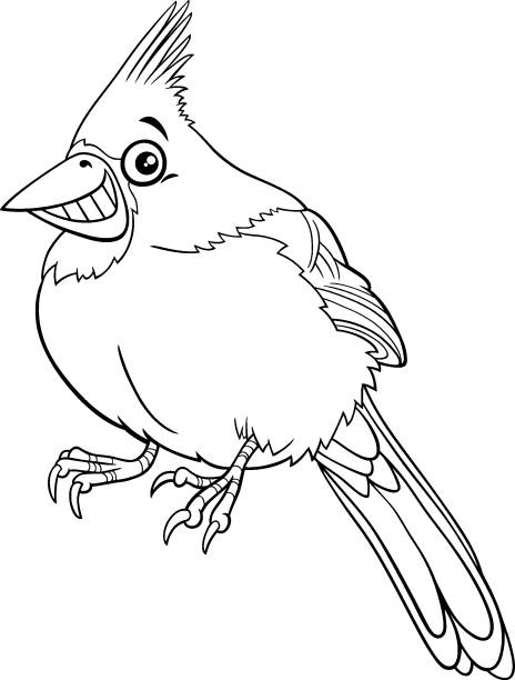 Cartoon northern red cardinal bird character coloring book page stock illustration