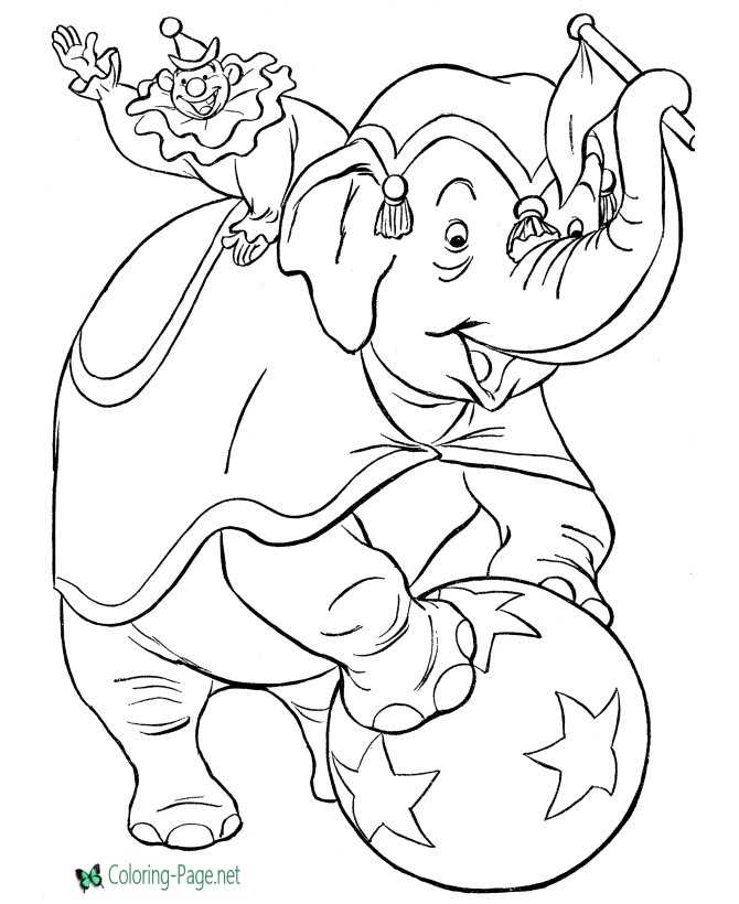 Circus coloring pages