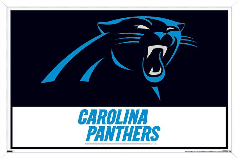 Nfl carolina panthers