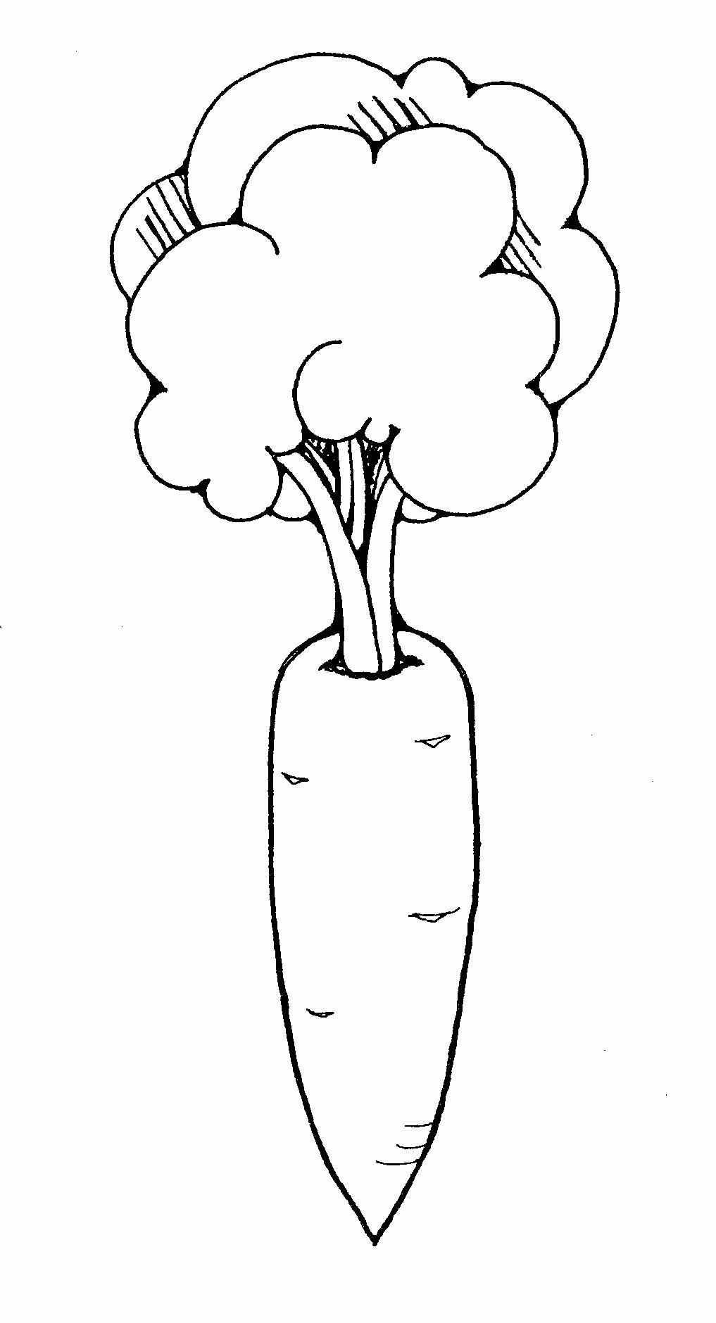 Carrot coloring pages