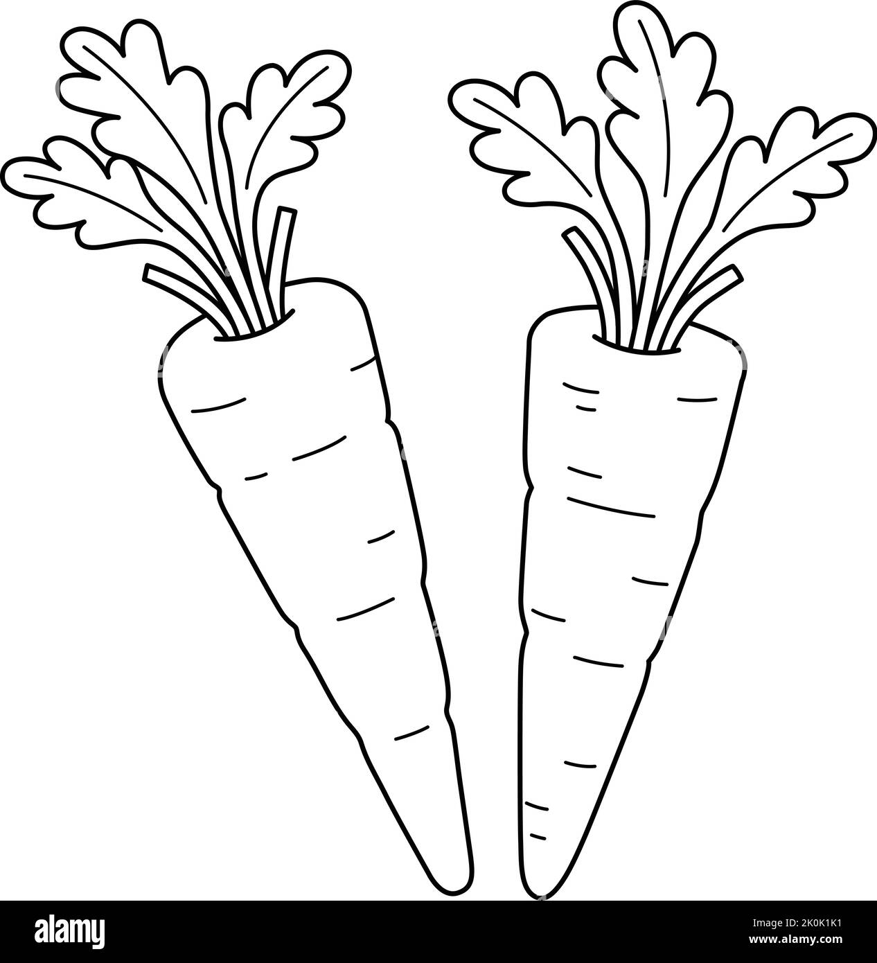 Carrot coloring book cut out stock images pictures