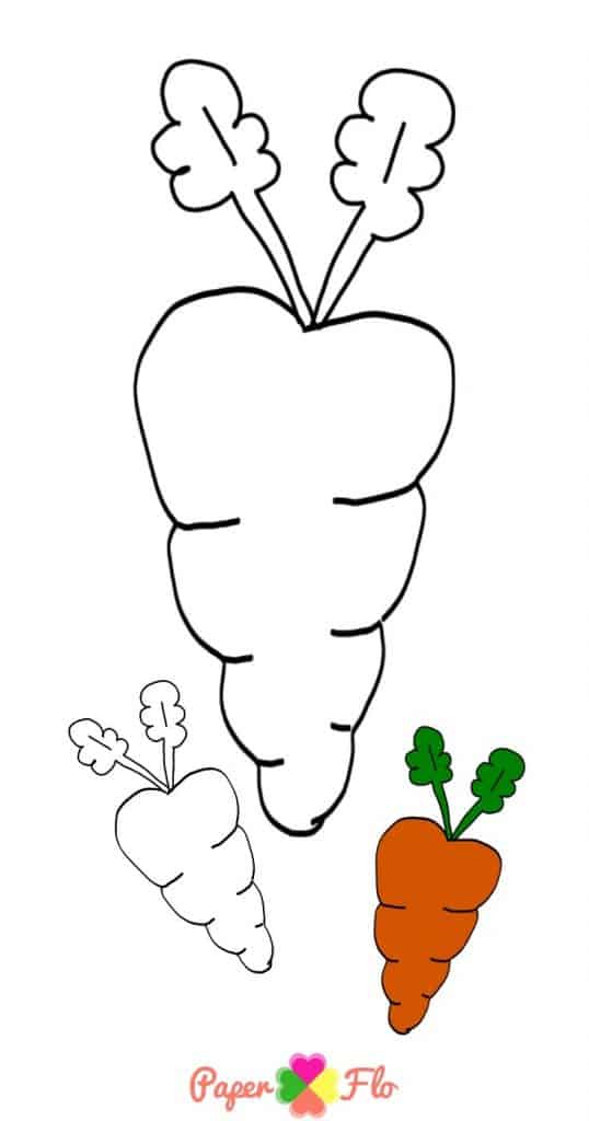 Easy carrot coloring page printable