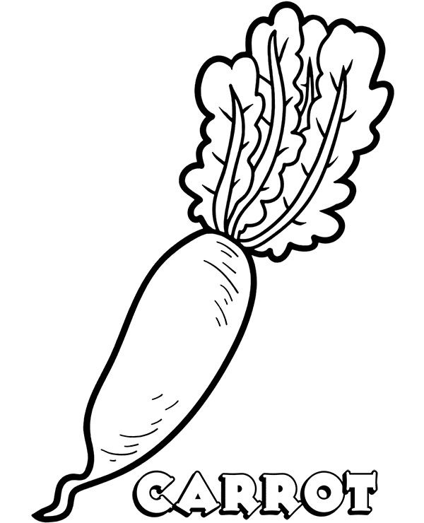 Carrot coloring pages