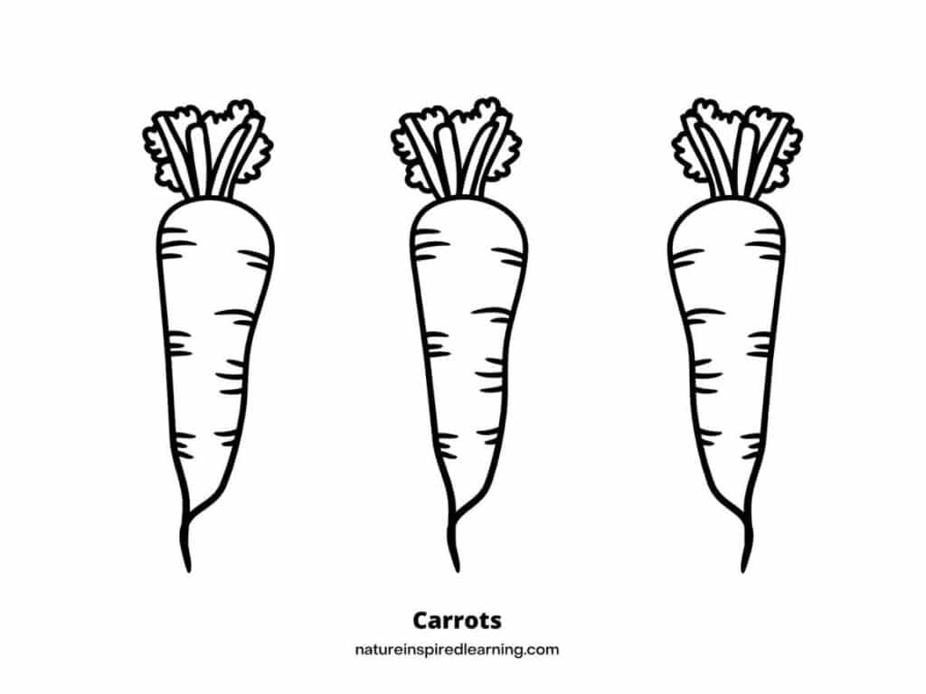 Simple carrot coloring pages