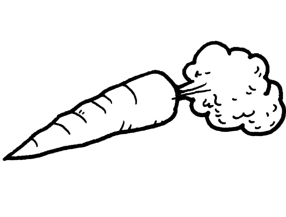 Carrot image coloring page