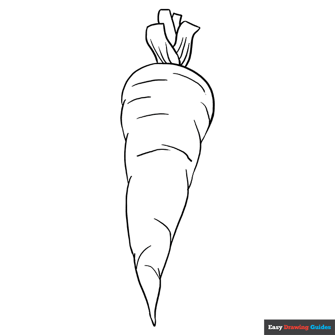 Carrot coloring page easy drawing guides