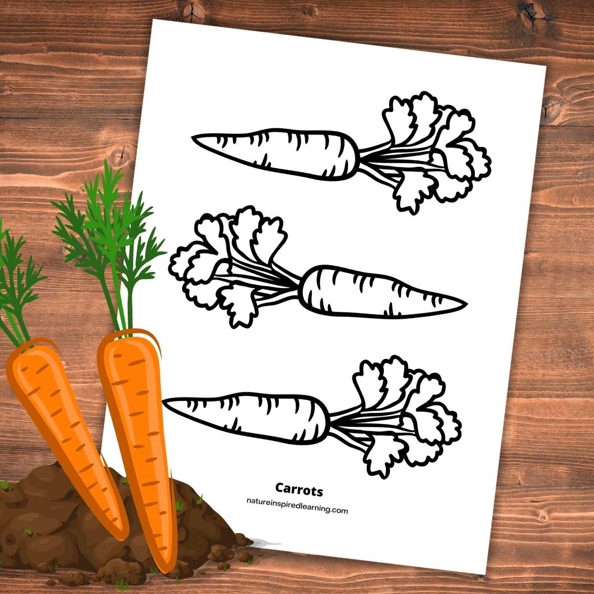 Simple carrot coloring pages