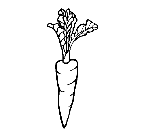 Carrot coloring page