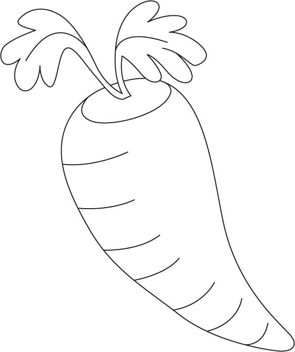 Red carrot coloring page download free red carrot coloring page for kids best coloring pages