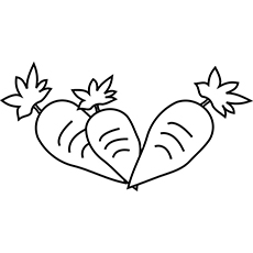 Top free printable carrots coloring pages online