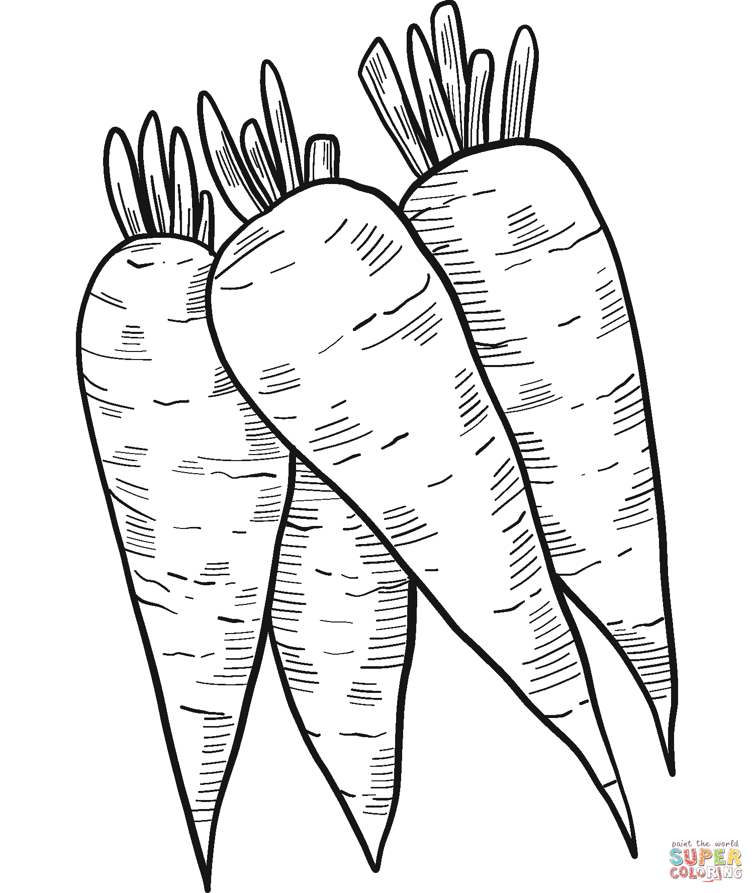 Carrots coloring page free printable coloring pages