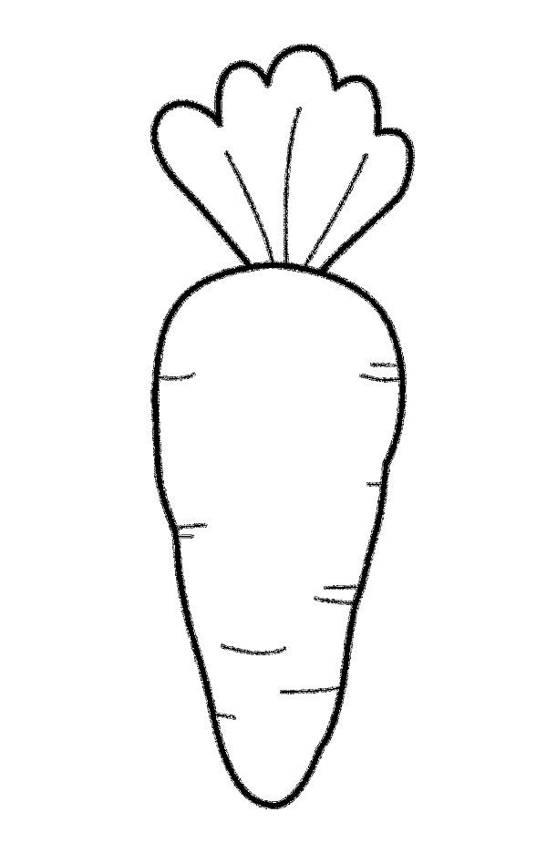 Printable carrot coloring pages pdf free