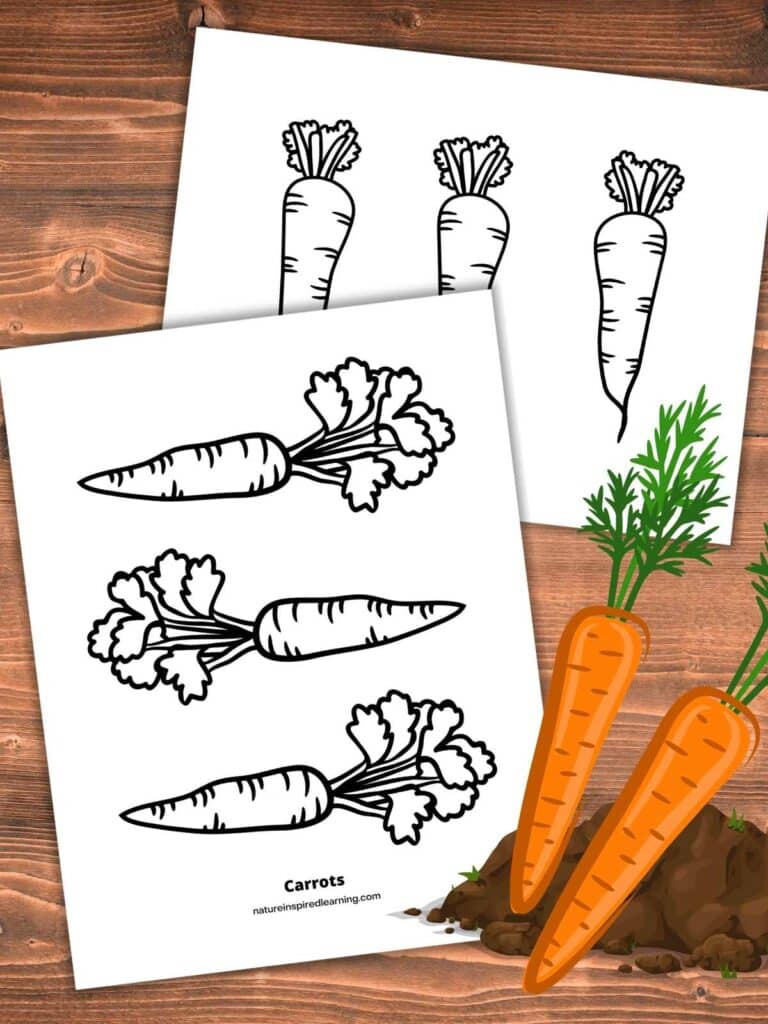 Simple carrot coloring pages