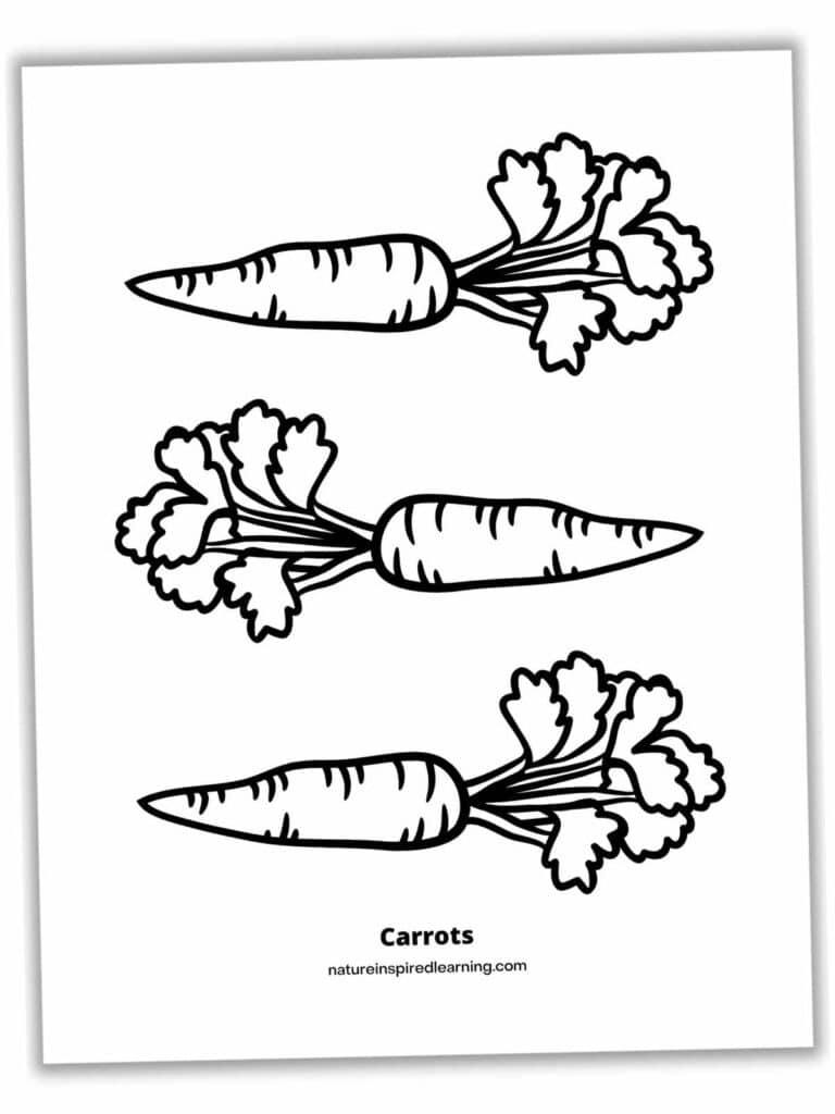 Simple carrot coloring pages