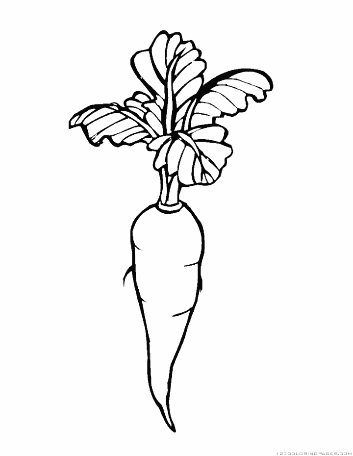 Carrot coloring pages