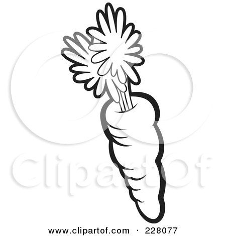 Coloring page outline of a carrot posters art prints by