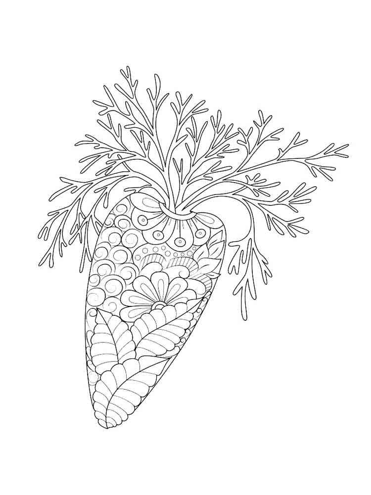 Carrot coloring pages for adults