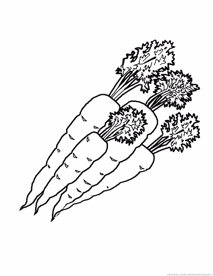 Carrot coloring pages