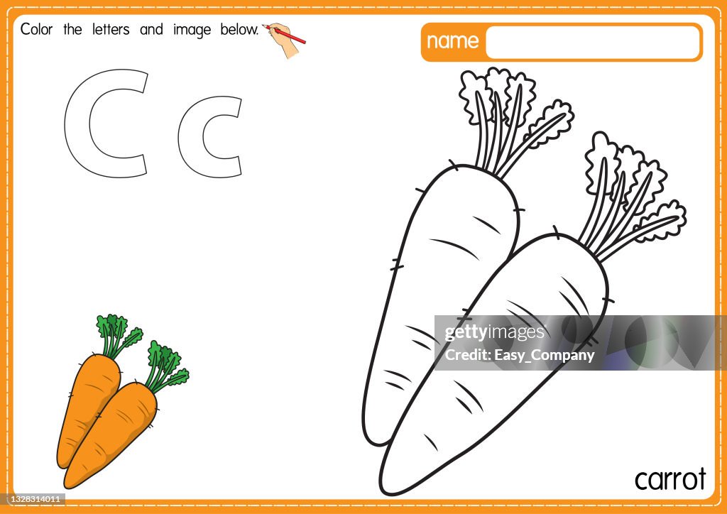 Vector illustration of kids alphabet loring book page with outlined clip art to lor letter c for carrot high